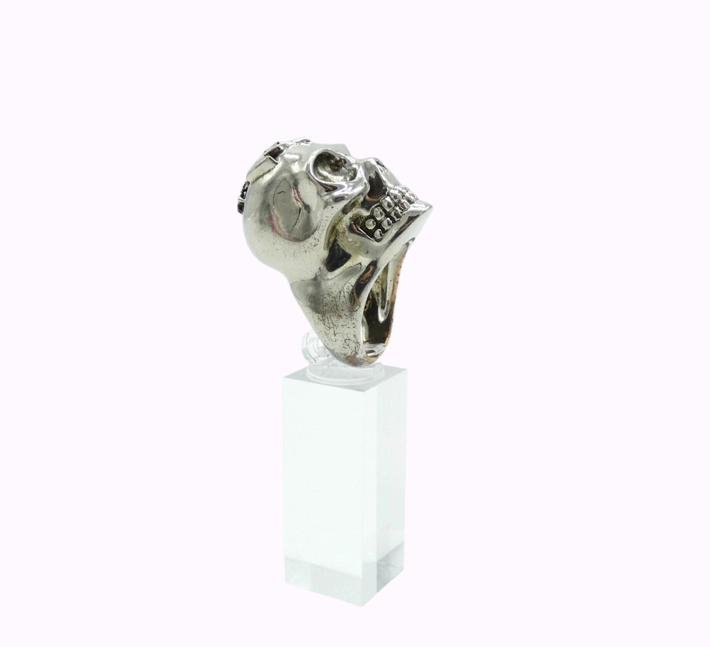 Alexander McQueen Silver Lost at Sea Skull Necklace and Ring Necklace Alexander McQueen