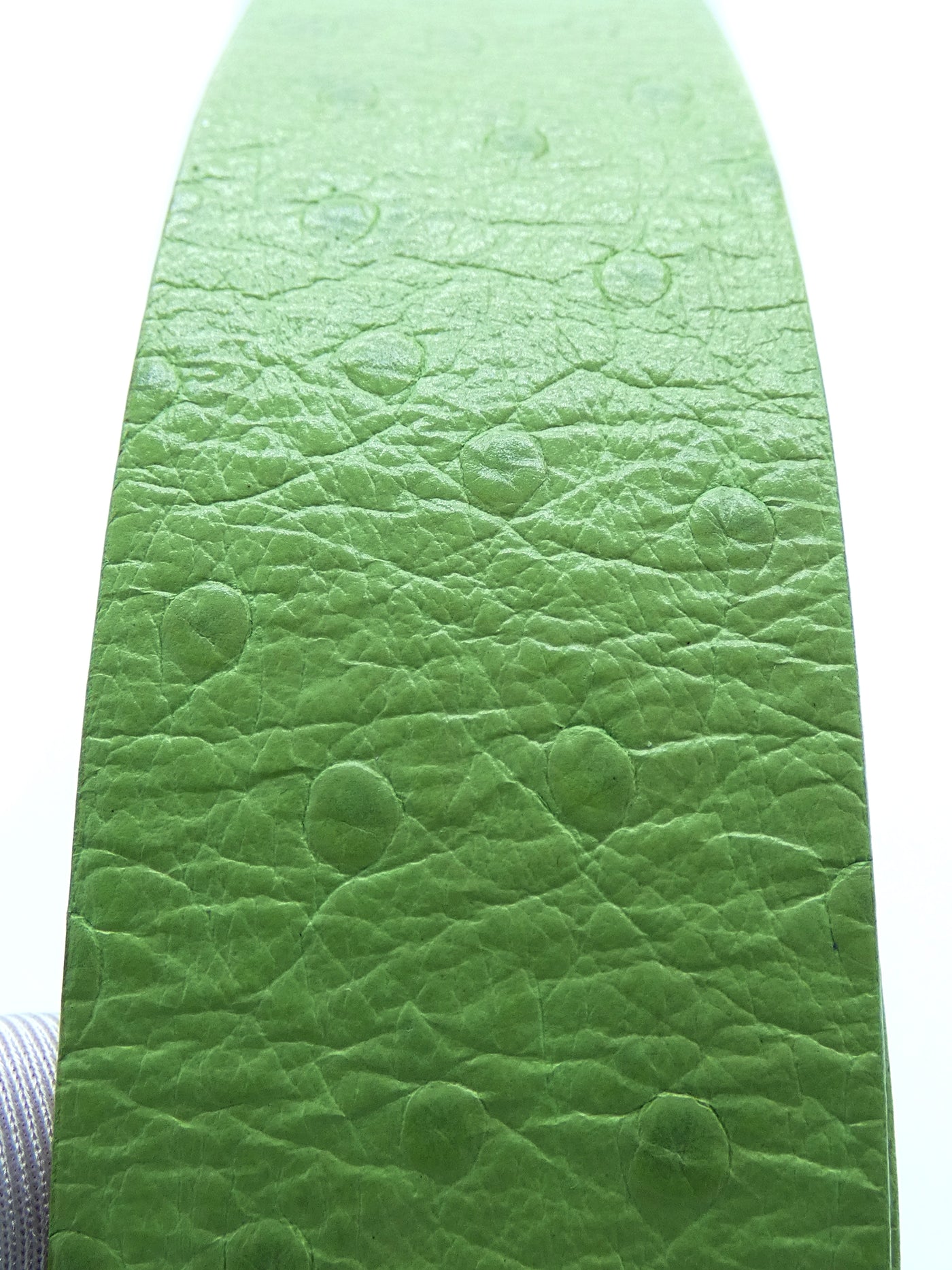 DSquared2 Green Ostrich Embossed Leather Belt Belt DSquared2